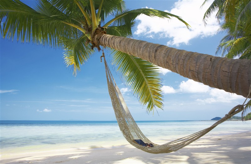Nature_Tropical.jpg